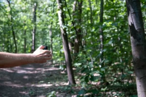 Pepper Spray for Animal Defense